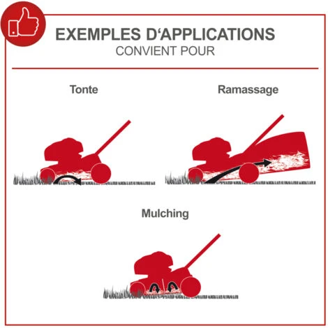 Tondeuse Thermique SCHEPPACH 7 Cv - Coupe De 53 Cm - MS225-53 – Image 2