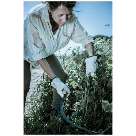 Faucille à Lame BELLOTA - 2562 – Image 4